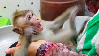 Routine Bathing!! Wow so surprised reaction when little adorable Teen playing with Mom before bath