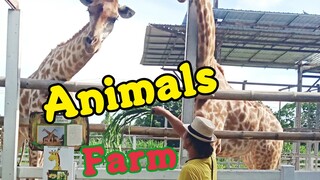 เปิดโลก Animals Farmโลกแห่งการเรียนรู้ของเด็กๆ😁😄😍