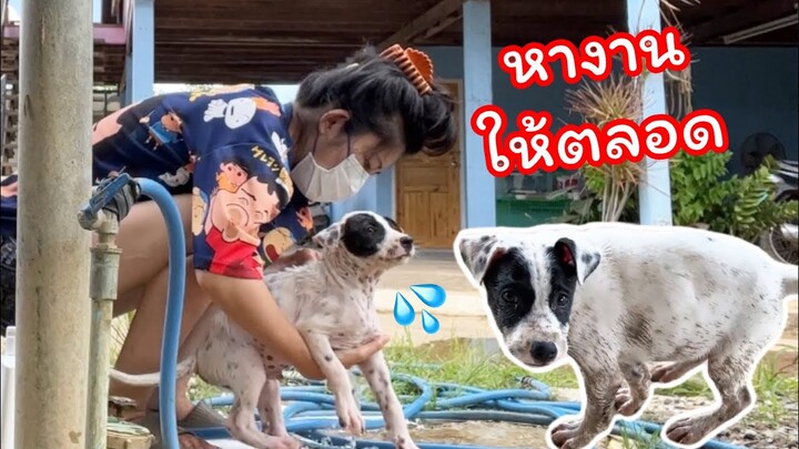 จะป่วยหนักกว่าเดิมดูแล้ว หัวจะปวดกับไอ้2 แสบ
