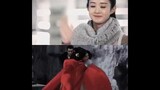 #zhaoliying The Legend of ShenLi is a reunion of old friends