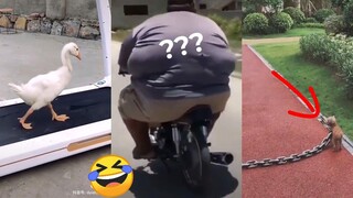 Tik Tok Funny 😂 Những Video Hài Hước Thú Vị trên Tik Tok Trung Quốc 2020 😂#68