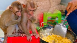 Wow Tiny Toto and Yaya sits down on the chair patiently waiting for Mom to cook fried rice with egg