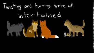 Squirrelflight-Fix You