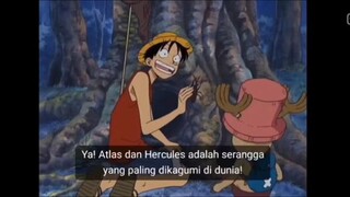 lawan belamy 1 jam nyari kumbang hercules sampai pagi hadeh luffy luffy 😅😅🤦‍♀️