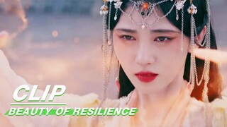 Wei Lingyue and Wei Zhi Fight and Wei Zhi Slanders | Beauty of Resilience EP27 | 花戎 | iQIYI