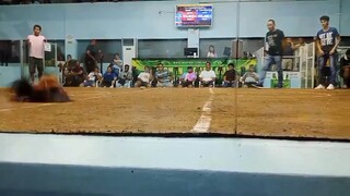 San mateo cockpit 4th fight loss tapon sabaw