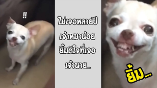 รวมคลิปตลกๆ : ยิ้มบานเเช่งเลยนะเจ้าหมาน้อย!!