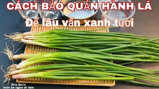 CÁCH BẢO QUẢN HÀNH LÁ xanh tươi được lâu - món ăn ngon dễ làm