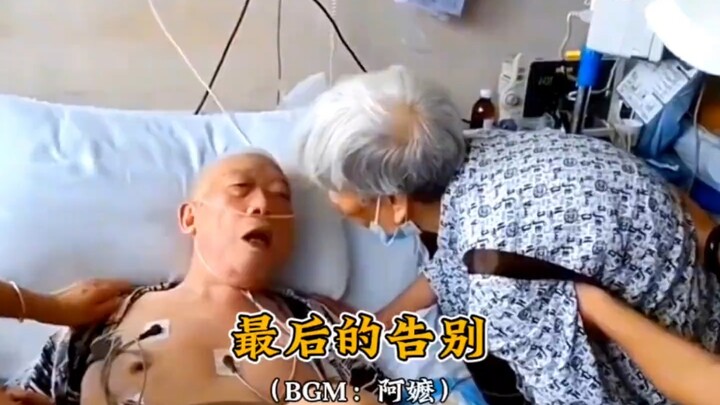 死亡不是终点，遗忘才是