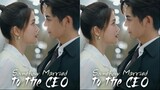 Somehow Married  to the CEO