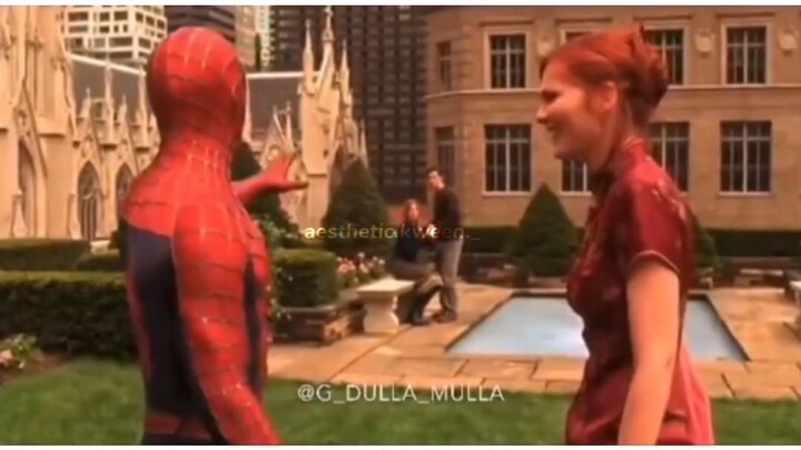 if spiderman was muslim