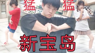 【小六】【猛男女版】新 宝 岛（由于dssq猛男带猛女跳起了新宝岛）