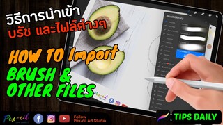 Pex-cil [ STUDY ] เทคนิคการนำเข้า บรัช / ไฟล์ต่างๆ จาก Link เข้าสู่ Procreate ( Tips Daily )