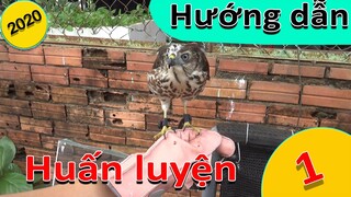 [Hùng Hunter] - Hướng dẫn tập ưng săn sẻ. (bài 1)