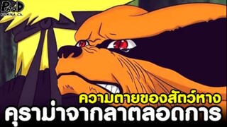 NARUTO - นารูโตะ จากลาคุราม่าตลอดการ & ชีวิตอมตะของสัตว์หาง [KOMNA CHANNEL]