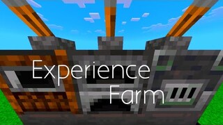 XP Farm