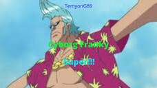 Cyborg Franky - SUPER!!!