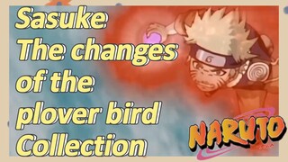 Sasuke The changes of the plover bird Collection