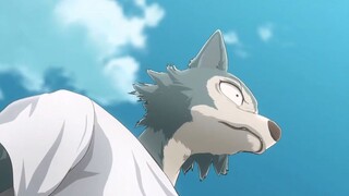 Beastars [AMV]