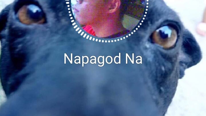 Napagod Na