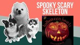 Spooky Scary Skeleton but it's Doggos and Gabe