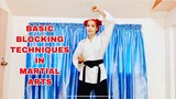 BASIC BLOCKING TECHNIQUES IN MARTIAL ARTS (Mirrored)