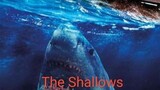 the shallows full movie hd