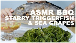 ASMR Mukbang Starry Triggerfish & Sea Grapes (ASMR Korea Indonesia Thai Manila UK USA Hong Kong)