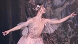 [Ballet Goddess Mixed Cut | Face Value Direction] Slim and small steps, exquisite and unparalleled