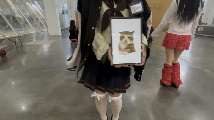 [Cat Diary Holding a Sign] Today's single owner is a kitten
