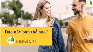 Vietnamese common phrases