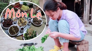 TRAI BẢN | Ẩm Thực Cá Suối Mọc Hoa Chuối Đặc Sản Của Người Thái Tây Bắc