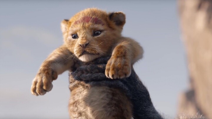 The Lion King -  Exclusive Animation Movie 2019
