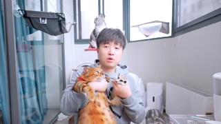 Help! After drilling into the cat's ass, it drilled into my mouth...