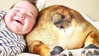 Happy Babies and Dogs กำลังเล่นด้วยกัน - Kids Playing with Pets