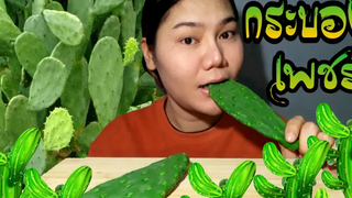 ไอซ์ซี่ กินยั่ว | #ASMR เสียงกินกระบองเพชร [ลองกินครั้งแรกในชีวิต ไม่รู้จะตายมั้ย]