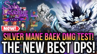 Solo Leveling Arise - The New Best DPS in The Game! *Silver Mane Baek DMG Test!