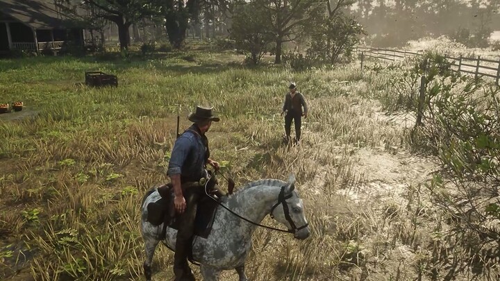 Red Dead Redemption 2: He was going to leave, he had to talk more