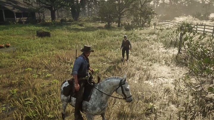 Red Dead Redemption 2: Dia akan pergi, dia harus berbicara lebih banyak