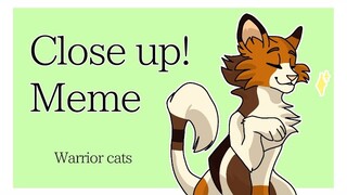 Close up meme // warrior cats