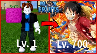 NOOB TO PRO USING REWORKED RUBBER FRUIT IN ROBLOX BLOXFRUITS