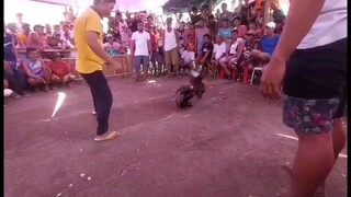 First fight,Brgy mapitogo firsta