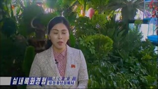 Experiência de cultivo de plantas em ambiente fechado