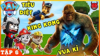 NHỮNG CHÚ CHÓ CỨU HỘ MINI WORLD | TẬP 6 | TIÊU DIỆT KING KONG VUA KHỈ ĐỘT TRONG RỪNG MƯA