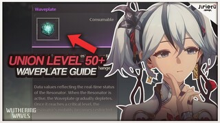 WHAT TO FARM BEFORE UNION LEVEL 50! | Wuthering Waves Guide