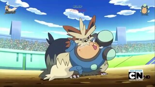 Stoutland VS Palpitoad | Pokemon Tournament Battle