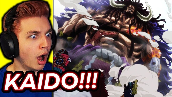 KAIDO REVEALED!! PEAK ANIME... (one piece reaction)