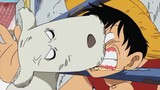 Khi Luffy chọc chó. #Cảnh Cảm Động trong One Piece