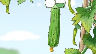 Cucumbers have finally become something I can't eat