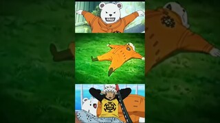 bepo law one Piece anime #shorts #anime #onepiece #law #bepo